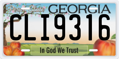 GA license plate CLI9316