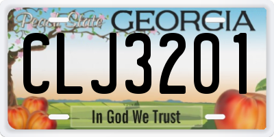 GA license plate CLJ3201
