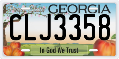 GA license plate CLJ3358