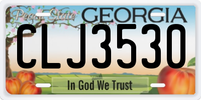 GA license plate CLJ3530