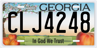 GA license plate CLJ4248
