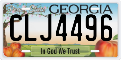 GA license plate CLJ4496