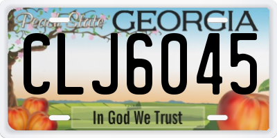 GA license plate CLJ6045