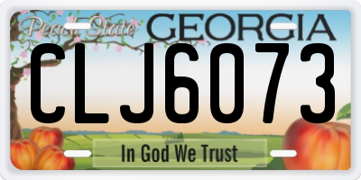 GA license plate CLJ6073