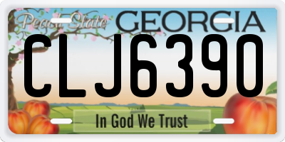 GA license plate CLJ6390