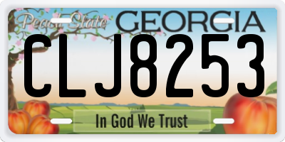 GA license plate CLJ8253