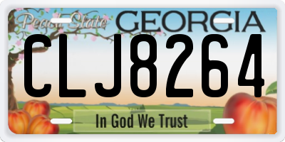 GA license plate CLJ8264