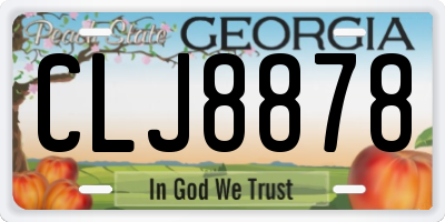 GA license plate CLJ8878
