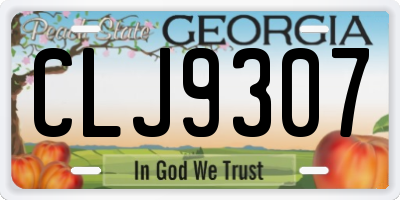 GA license plate CLJ9307