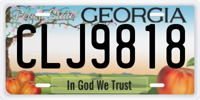 GA license plate CLJ9818