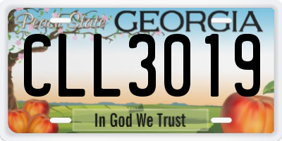 GA license plate CLL3019