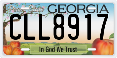 GA license plate CLL8917