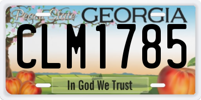 GA license plate CLM1785