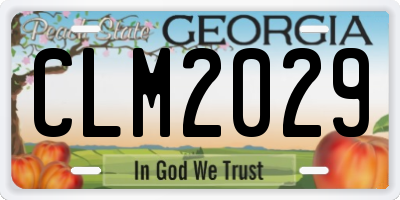 GA license plate CLM2029