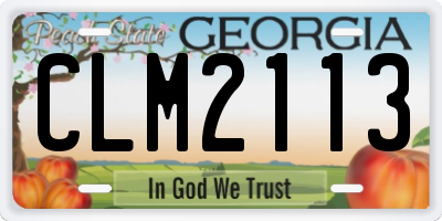 GA license plate CLM2113