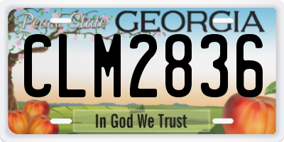 GA license plate CLM2836