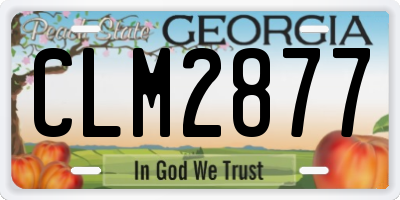 GA license plate CLM2877