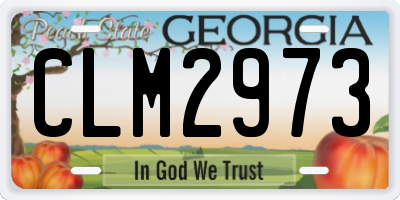 GA license plate CLM2973