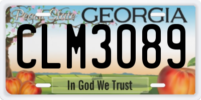 GA license plate CLM3089