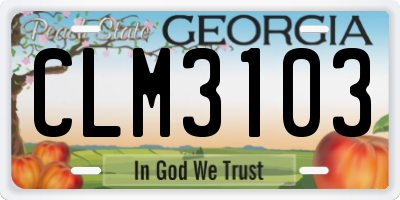 GA license plate CLM3103