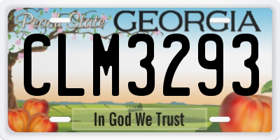 GA license plate CLM3293
