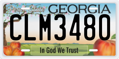 GA license plate CLM3480