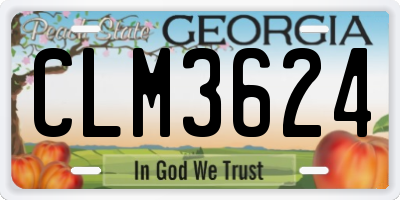 GA license plate CLM3624