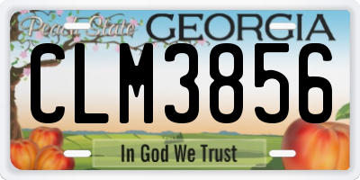 GA license plate CLM3856