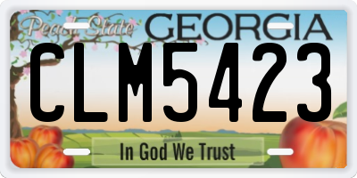 GA license plate CLM5423