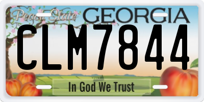 GA license plate CLM7844