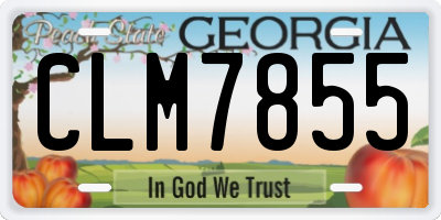 GA license plate CLM7855