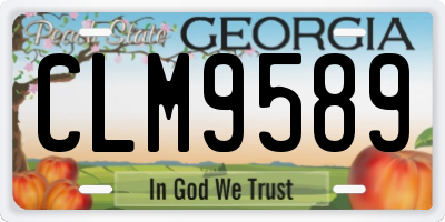 GA license plate CLM9589