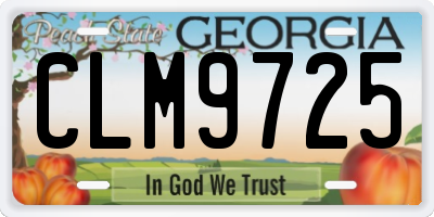 GA license plate CLM9725