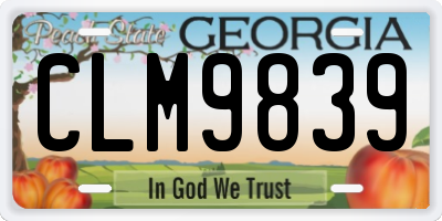 GA license plate CLM9839