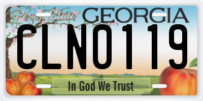 GA license plate CLN0119