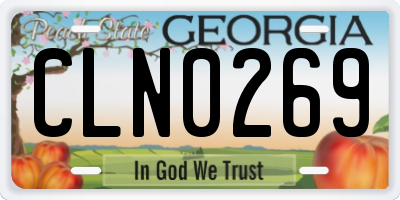 GA license plate CLN0269