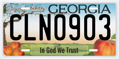 GA license plate CLN0903