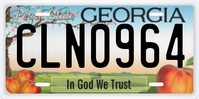 GA license plate CLN0964