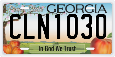 GA license plate CLN1030