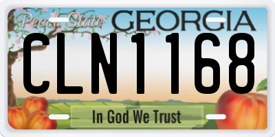 GA license plate CLN1168