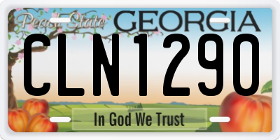 GA license plate CLN1290