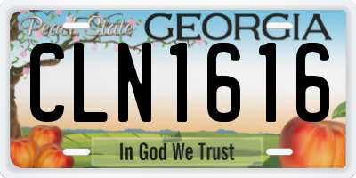 GA license plate CLN1616