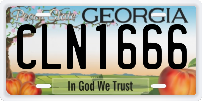 GA license plate CLN1666