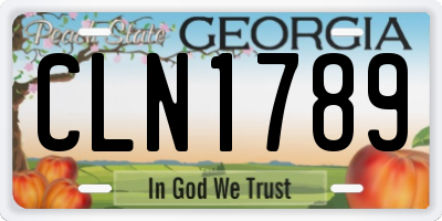 GA license plate CLN1789