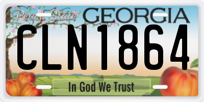 GA license plate CLN1864