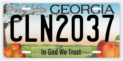 GA license plate CLN2037
