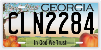 GA license plate CLN2284
