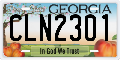 GA license plate CLN2301
