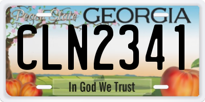 GA license plate CLN2341