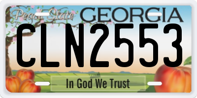 GA license plate CLN2553